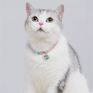 Collier réglable avec clochette pour chat, collier de sécurité détachable pour petits chiens, laisse de cou pour chiots et chatons - Product Image 3