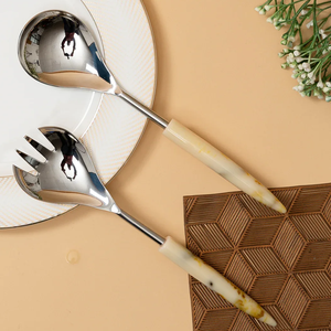 Professional Dealer of Vintage Design Resin Sharp <b>End</b> Design Handle Salad Serving Set Available at Affordable Market Price - Product Image 2