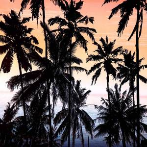 เสื้อกล้ามพิมพ์ลายดีไซน์ใหม่สำหรับผู้ชาย เสื้อกล้ามออกกำลังกาย เสื้อกล้ามฟิตเนส ขายส่ง เสื้อกล้ามออกกำลังกายแบบสั่งทำได้ตามจำนวนที่ต้องการ - Product Image 6