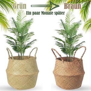 Vietnam Seagrass Storage <b>Basket</b> Indoor Planter Natural Handwoven Durable <b>Wicker</b> Flower Pot Eco-Friendly Rustic Home Decor Trend - Product Image 4