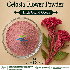 Poudre de fleur de Celosia HGO Direct Supply, poudre de fleur de coq, qualité alimentaire, séchée par pulvérisation ou lyophilisée - Product Image 1