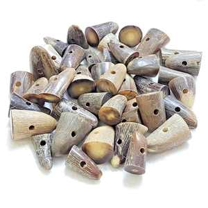 Botón de Cuerno Natural Pulido, Hecho a Mano, Ecológico, Duradero, con Forma Natural, para Proyectos de Artesanía, Alta Calidad, AZ ENTERPRISES - Product Image 1