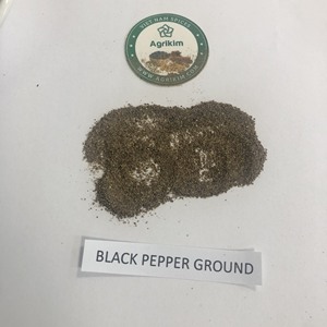Pimienta negra al mejor precio del fabricante confiable de Vietnam Especias y hierbas individuales 550MC 500FAQ 5MM + 84 35 916 9566 - Product Image 6