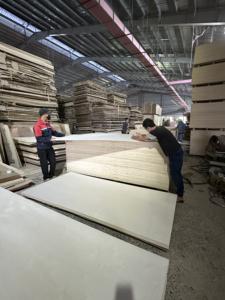 Contrachapado de Álamo Ligero para Interiores y Muebles |   Manuseo Sencillo |   Fabricante de Madera Contrachapada de Vietnam, Panel E0 E1 - Product Image 4