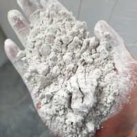 Harga pabrik-bubuk kapur terhidrasi Min 90% Ca(OH)2 untuk aplikasi industri pemasok Vietnam | SHC Group
