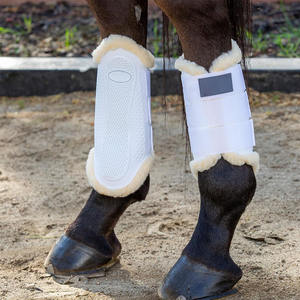 Nuevas Botas de Equitación 2026, Equipo de Protección para Entrenamiento, Botas de Montar de Alta Calidad con Colores Personalizados - Product Image 6