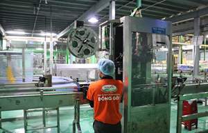 Boissons énergisantes sportives ISO 300 ml en bouteille PET avec saveur de jus d'ananas, prix bas, vente en gros au Vietnam, boisson JB'FRESH, OEM ISO - Product Image 6