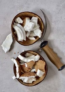 Noix de coco déshydratée faible en gras, qualité fine, poudre de noix de coco naturelle séchée pour la fabrication alimentaire, fournisseur Vietnamien - Product Image 6