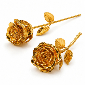 Coffret Cadeau Double Rose Véritable Plaqué Argent Fait Main, Fleurs Éternelles pour Anniversaire, Mariage et Saint-Valentin - Vente en Gros - Product Image 5