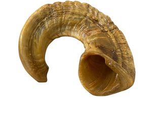 Cuerno de Shofar de Oveja Natural Pulido - Decoración Religiosa Ecológica para el Hogar de Alta Calidad - Product Image 2