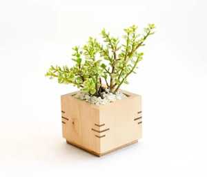 Pot de fleurs carré en bois pour plantes succulentes, design géométrique, mini-conteneur de plantes pour table, petite boîte à fleurs de bureau - Product Image 1