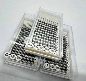 Cils en éventail à pointes, cils volumineux en D, cils à pointes de qualité supérieure, plateau de cils à pointes pour salon, cils vaporeux avec pointes, style anime, cils à pointes - Product Image 1