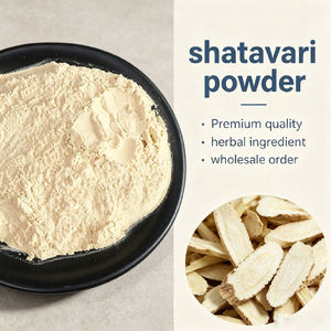 Polvo de Shatavari Premium, Venta Caliente, Polvo de Shatavari 100% Natural, Proveedor a Granel de la India para Uso como Suplemento Dietético - Product Image 5