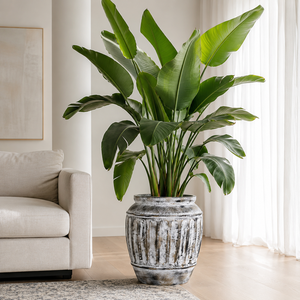 Weathered Ocean Fiberglass Ribbed Barrel <b>Large</b> Outdoor Indoor Decorative Garden Pot <b>Planter</b> Single 72x83cm - Product Image 2