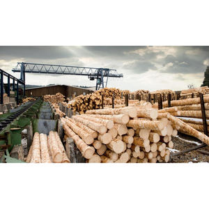 Bois naturel en rondins pour la menuiserie, la fabrication de meubles, la construction, vente en gros, fabricant - Product Image 1