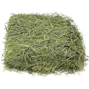 Heno de Timothy para conejos y cobayas, alimento para mascotas, venta al por mayor para supermercados y tiendas minoristas - Product Image 3