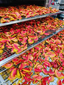 Goyave séchée douce |   Fruits 100% frais et biologiques |   Ingrédients pour collations et thés du Vietnam - Product Image 2