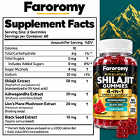 Gummies de Shilajit de l'Himalaya 4-en-1 Complexe Énergétique avec Ashwagandha et Crinière de Lion - Sans Sucre 120 unités Vente en Gros Marque Privée