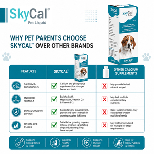 SkyCal Pet Liquid Calcium Phosphorus Vitamin D3 B12 Supplement for Dogs Bone Vision Support Lid 200ml All Breeds All Life Stages - Product Image 5