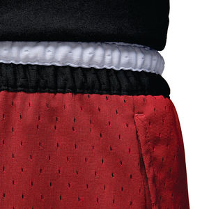 Pantalones Cortos Deportivos de Baloncesto con Logotipo Personalizado, 100% Poliéster, Antibacterianos, Sublimados, de Malla - Product Image 6