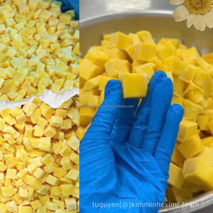 Mango Congelado IQF Fresco y Dulce de Primera Calidad, Suministro al por Mayor de Vietnam, Fruta Certificada Envasada al Vacío, 24 Meses de Duración - Product Image 6