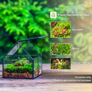 Wholesale Eco-Friendly Crystal Glass Geometric Hexagon Terrarium Art Decor Tabletop Vase Home Decoration Diy Plant <b>House</b> - Product Image 4
