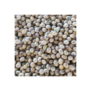 Soja biologique de qualité supérieure, non-OGM, du Brésil, soja sain du Brésil - Product Image 1