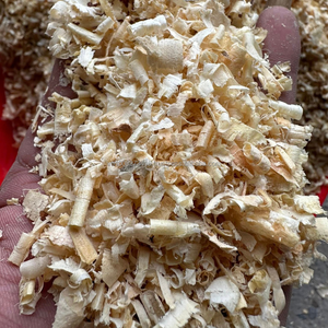 Sciure de bois en vrac - Litière supérieure pour écuries et poulaillers - Product Image 1