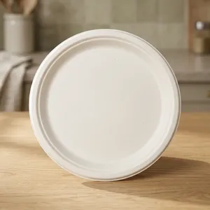 Premium Quality 10 Inch Round Plain <b>Pulp</b> Moulded Disposable Plate Compostable Eco Friendly Food Serving Tableware - Product Image 1