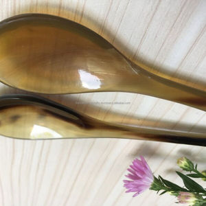 Cuillère en corne de buffle polie, style animal marin, décoration d'intérieur d'Inde - Product Image 6