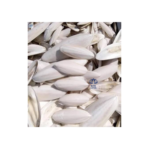 BEST Cuttlefish Bone Natural Calcium Source for <b>Bird</b> <b>Cage</b> Accessories Pet Supply and Wholesale Export - Product Image 1