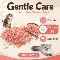Litière pour chat en tofu écologique et biodégradable en gros avec emballage personnalisé OEM pour les acheteurs étrangers, les grossistes et les détaillants d'articles pour animaux de compagnie