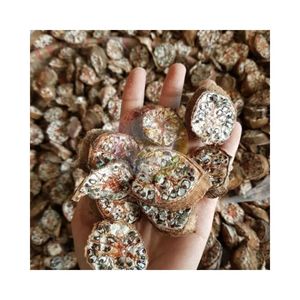 Rodajas naturales de Musa acuminata, plátano silvestre seco con semillas de Vietnam, especias de primera calidad para bebidas y vino. - Product Image 2