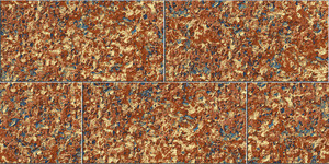 Carreaux muraux Premium Choice de qualité supérieure, carreaux d'élévation Asia Tiles 300x600mm pour articles de santé. - Product Image 3