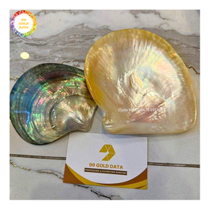 Breloque en coquillage naturel poli, pendentif disque en nacre noire, perles pour boucles d'oreilles et colliers DIY, fourniture en gros de bijoux - Product Image 3
