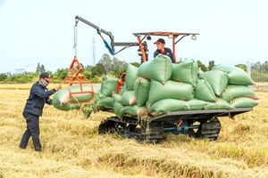 รถขน80HP 2025 Hogico รถเทรลเลอร์รถขน4WD รถขนสินค้าใหม่ใช้งานหนักสำหรับงานฟาร์มที่ทำจากดินโคลนและข้าวเปลือก - Product Image 6