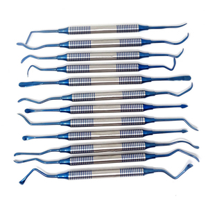 Herramientas de limpieza dental de acero inoxidable, juego de 10 piezas, kit de limpieza dental, raspadores, 10 piezas para cuidado bucal. - Product Image 1