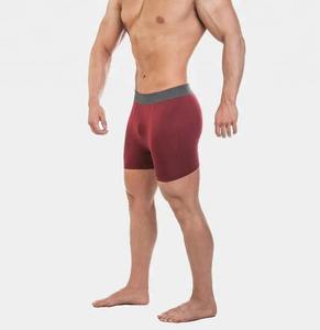 Wholesale Custom Fitness <b>Men's</b> High-Rise Breathable Swimwear Beachwear Quick Dry Swim <b>Bikinis</b> Underwear - Product Image 1