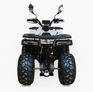 Quad tout-terrain adulte Chithan 125cc 4 temps à transmission par chaîne automatique 1000W essence 4x4 avec blocage de différentiel CE 3 ans OEM ODM DIY - Product Image 5