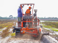 Meilleures ventes 2025 HOGICO HG4560 Furcageuse de sol efficace de haute qualité avec roulement de motoculteur pour tracteur moderne