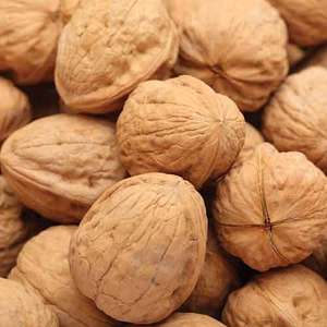 Fournisseur en gros de noix biologiques, noix brutes séchées, style de traitement varié, prix abordable - Product Image 1