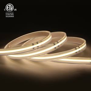 RAYMATES alto voltaje 4000K Led Cob tira de luz 420Chips/M IP67 impermeable Flex Cob tira de luz Cob tira de luces AC230V UL ETL - Product Image 6