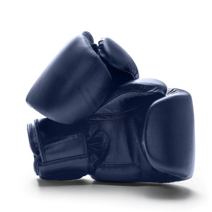 Gants de boxe professionnels sur mesure très tendance avec fermeture auto-agrippante antidérapante 14 oz pour l'entraînement au combat - Product Image 4