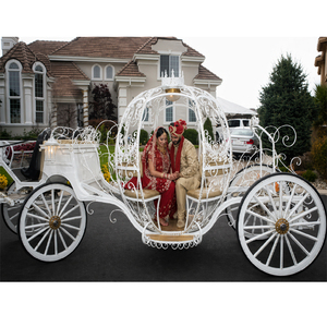 Carruaje de Cenicienta Moderno y Duradero de Madera y Metal para Novios, Boda Romántica a Precios Accesibles, Venta en Australia - Product Image 1