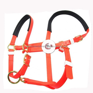 Best Quality Horse PVC <b>Halter</b> With a Soft Padding for Racing Equipment - Product Image 3