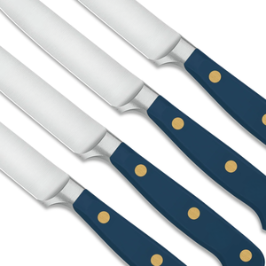 Ensemble de 4 couteaux à steak professionnels avec lames en acier inoxydable à bord lisse, manches noirs ergonomiques pour couper le steak, cuisine - Product Image 4