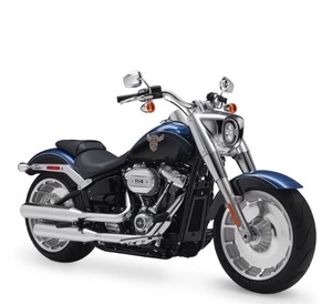 Filtre à air / élément filtrant pour Harley-Davidson Breakout 114, Fat Bob 114, Fat Boy 114, CVO Street Glide, Référence OEM : 29400267, MOQ1000pcs - Product Image 4