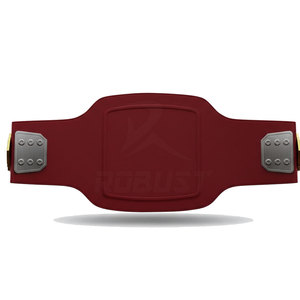 Ceinture de championnat au design élégant en cuir écologique pour l'entraînement aux arts martiaux, personnalisable, confortable, légère et facile à utiliser - Product Image 2