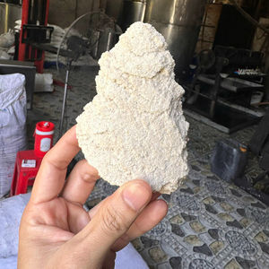 Alimento para Ganado, Cerdos y Caballos, 100% Copra Blanca, Origen Vietnam, Bolsas de 40 kg, Venta al Por Mayor - Product Image 1