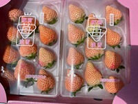 Briljante kwaliteit, hoog gewaardeerd, streng geselecteerd, zoet, Japanse aardbeien, vers fruit
